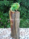 picture of IGUANA ON LOG