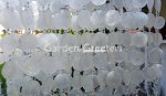 picture of SOLAR CAPIZ SHELL WINDCHIMES/CHANDELIER OVAL WHITE CAPIZ WITH 2