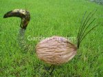 picture of COCONUT BIRD - MEDIUM