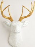 picture of DEER HEAD White/Gold