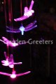 picture of DRAGONFLY SOLAR MOBILE