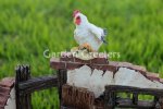 picture of CHICKEN ROOSTER FAMILY STATUE