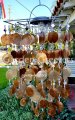 picture of SOLAR CAPIZ SHELL WINDCHIMES/CHANDELIER AMBER/GOLD CAPIZ CHIMES-
