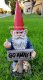 picture of GARDEN STATUE GNOME, GNOME WITH MIDDLE FINGER , GNOME FIGURINE