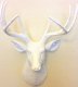 picture of FAUX WHITE DEER HEAD