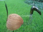 picture of COCONUT BIRD - TALL HAIRY