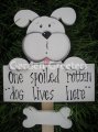 picture of 1 WHITE DOG