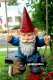 picture of GNOME ON SWING