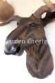 picture of MOOSE HEAD WALL MOUNT