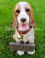 picture of Cocker spaniel Statue Cocker spaniel figurine