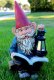 picture of READING GNOME WITH SOLAR LIGHT