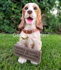 picture of Cocker spaniel Statue Cocker spaniel figurine