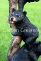 picture of BEAR FAMILY STATUE