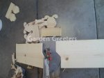 picture of 3 WHITE/DALMATION