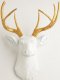 picture of DEER HEAD White/Gold