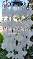 picture of SOLAR CAPIZ SHELL WINDCHIMES/CHANDELIER WHITE SQUARE CAPIZ WITH