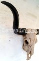 picture of LARGE-LONG-HORN-COW-HEAD-SKULL-LONGHORN STEER WALL MOUNT