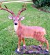 picture of LARGE DEER STATUE 8 POINT BUCK STATUE