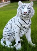 picture of WHITE TIGER STATUE WHITE TIGER FIGURINE