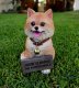 picture of Pomeranian Dog statue Pomeranian Dod figurine
