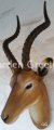 picture of ANTELOPE HEAD WALL MOUNT STATUE