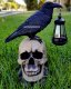 picture of SOLAR LARGE BLACK CROW RAVEN ON SKULL STATUE FIGURINE WITH SOLAR