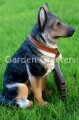 picture of GERMAN SHEPHERD STATUE