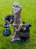 picture of Solar Bear Family Raccoon Statue Bear Raccoon Solar Figurine