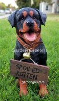 picture of ROTTWEILER STATUE ROTTWEILER FIGURINE