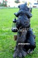 picture of Bear with solar lantern Bear figurine Bear statue solar