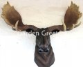 picture of MOOSE HEAD WALL MOUNT