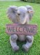 picture of WELCOME ELEPHANT