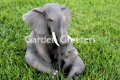 picture of ELEPHANT WITH BABY ELEPHANT STATUE