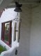 picture of ANTIQUE BIRD WIND CHIME