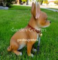 picture of CHIHUAHUA STATUE CHIHUAHUA FIGURINE