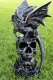 picture of DRAGON ON SKULL STATUE DRAGON FIGURINE