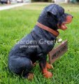 picture of ROTTWEILER STATUE ROTTWEILER FIGURINE