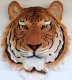 picture of ORANGE TIGER HEAD WALL MOUNT STATUE